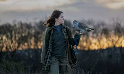 Decorative movie poster for H is for Hawk